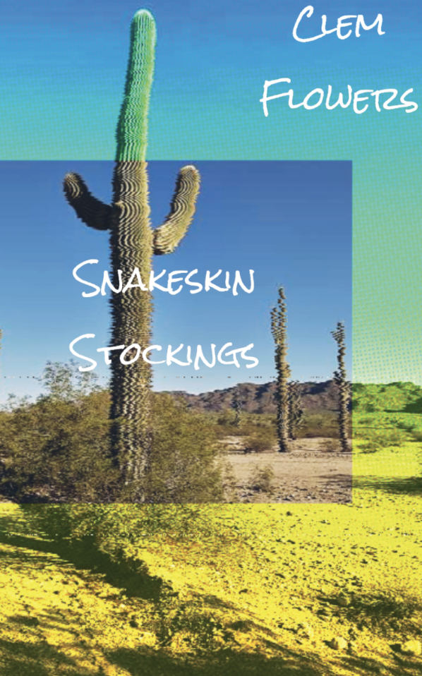 Snakeskin Stockings (Unknown Binding)