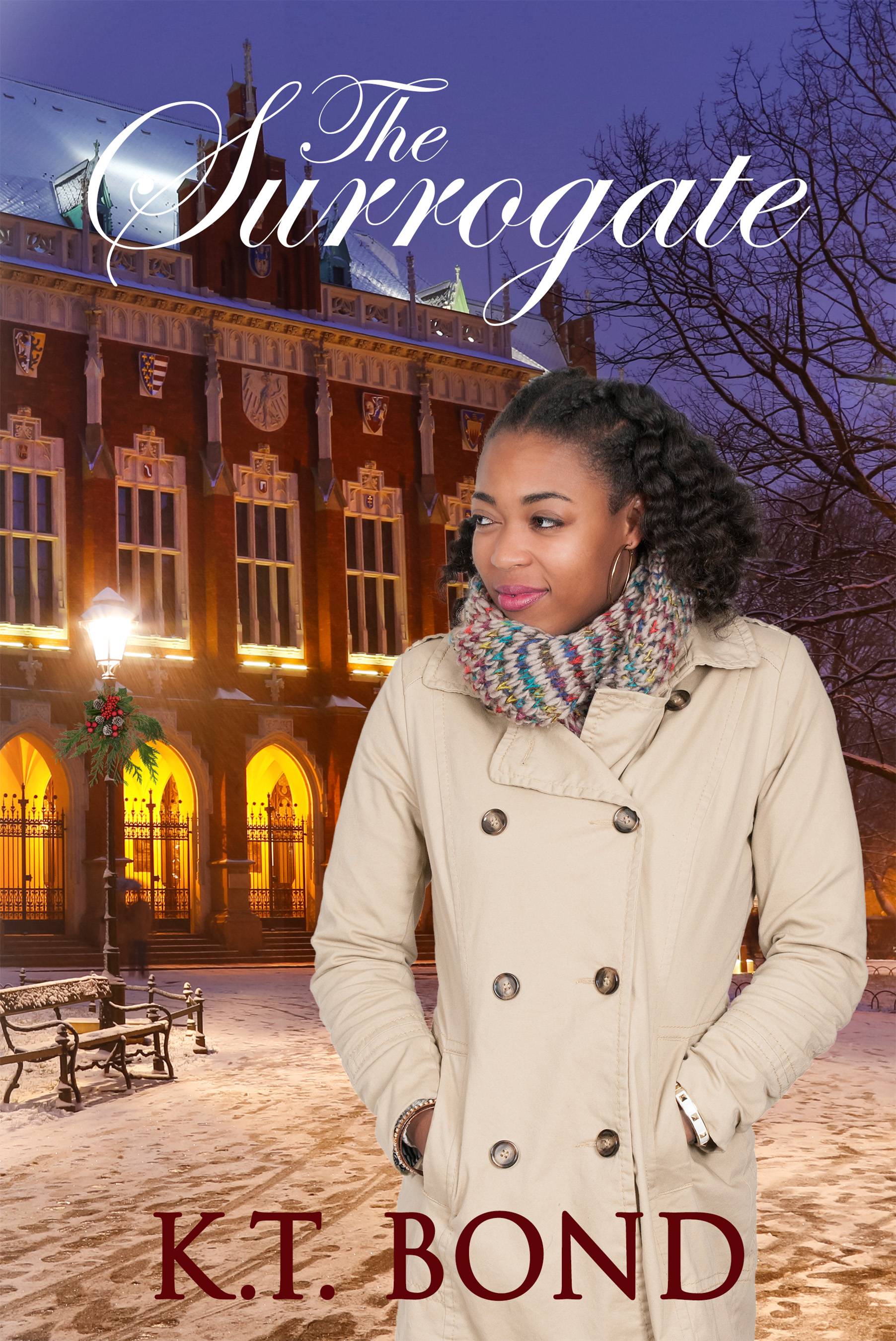 The Surrogate (Kindle Edition)