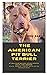 The American Pit Bull Terri...