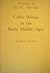 Celtic Britain in the Early Middle Ages: Studies in Scottish and Welsh Sources (Studies in Celtic History, 2)