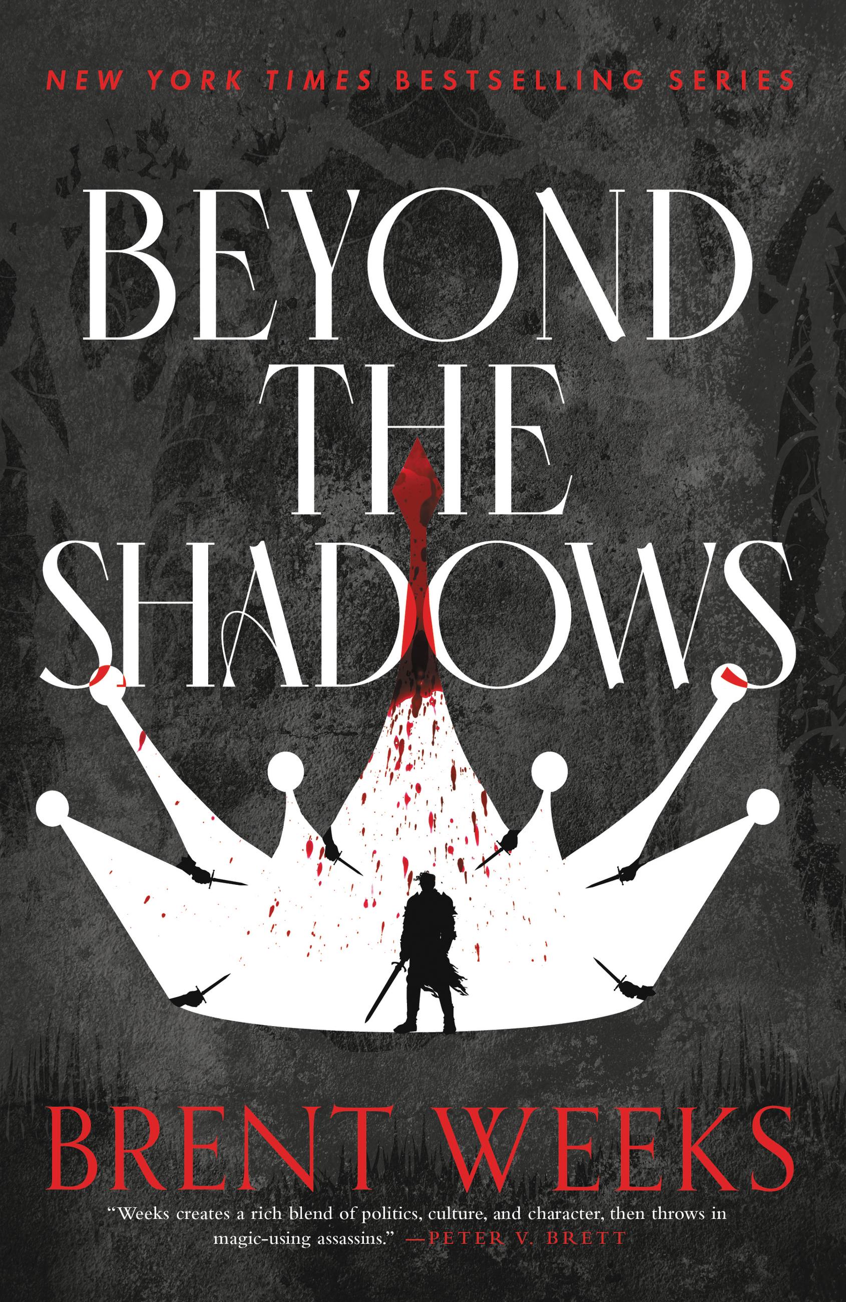 Beyond the Shadows (Night Angel, #3)