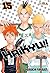 Haikyu!! tomo 15: Destructor (Haikyuu!!, #15)
