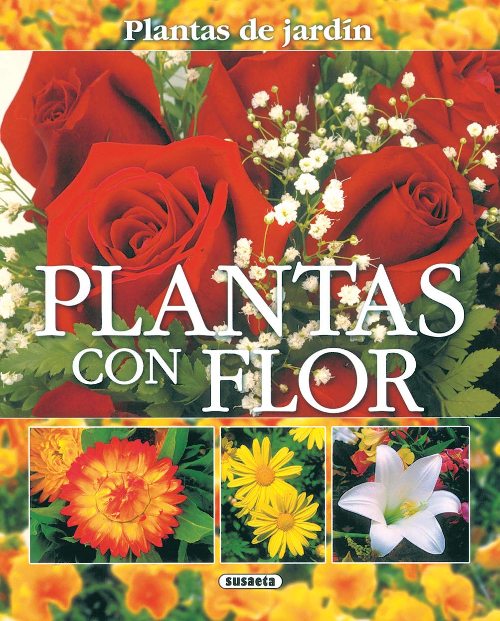 Plantas con flor (Paperback)