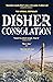Consolation (Hirsch, #3)