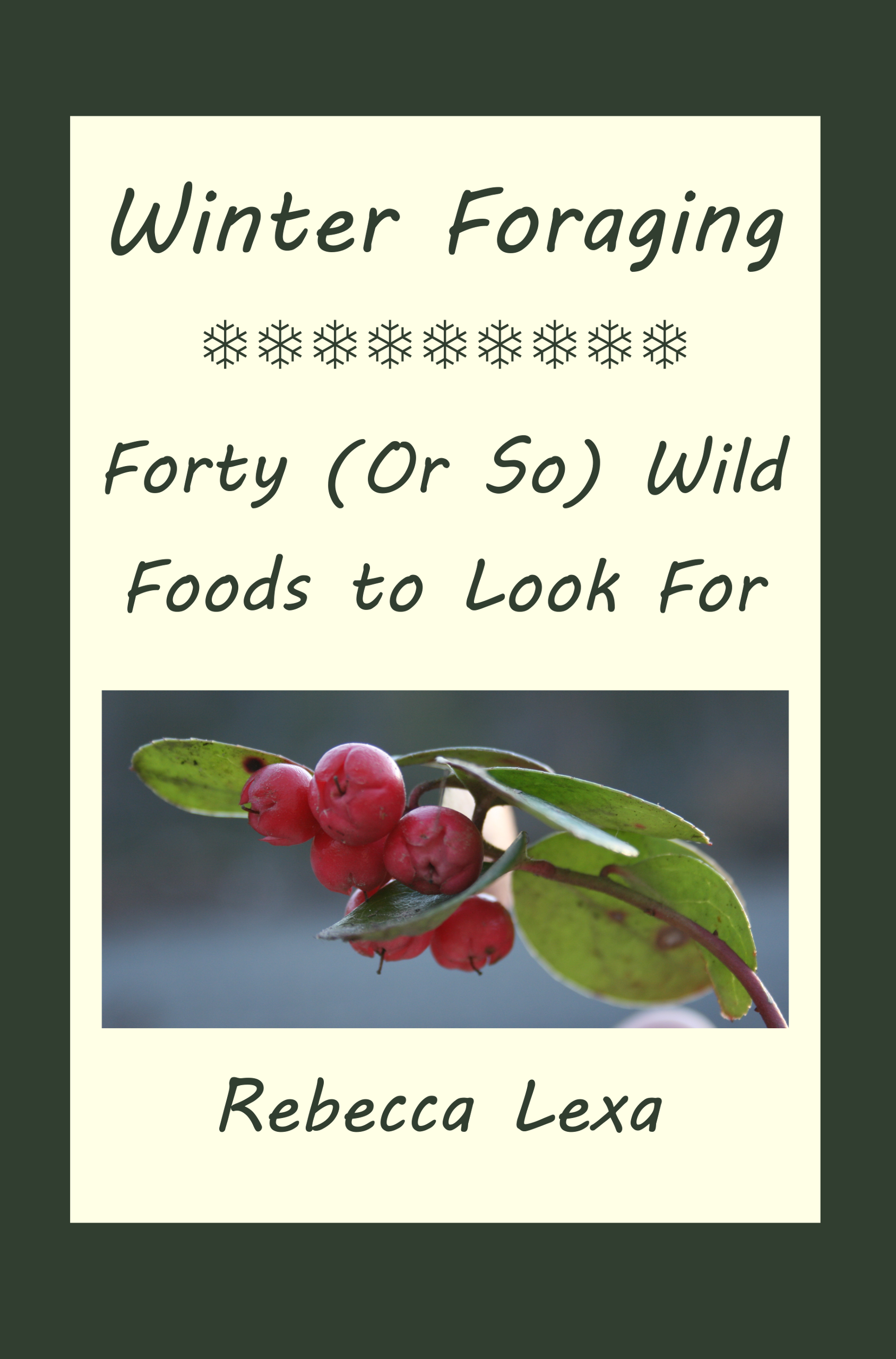 Winter Foraging: Forty (Or So) Wild Foods to Look For