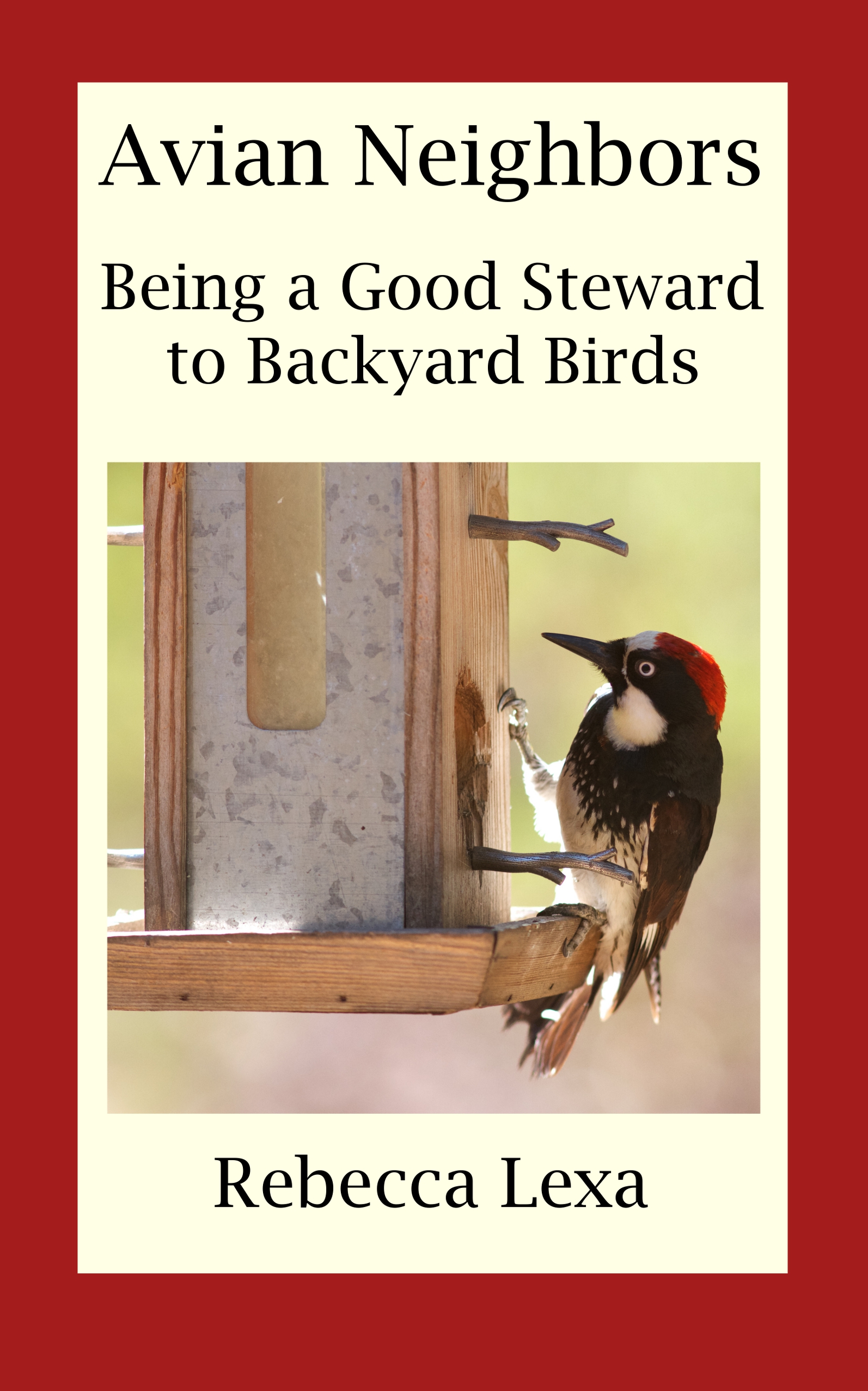 Avian Neighbors: Being a Good Steward to Backyard Birds