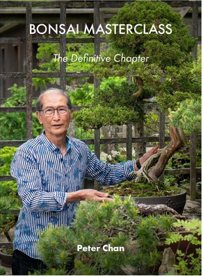 Bonsai Masterclass: The Definitive Chapter