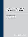 The Common Law Process of Torts (Paperback)
