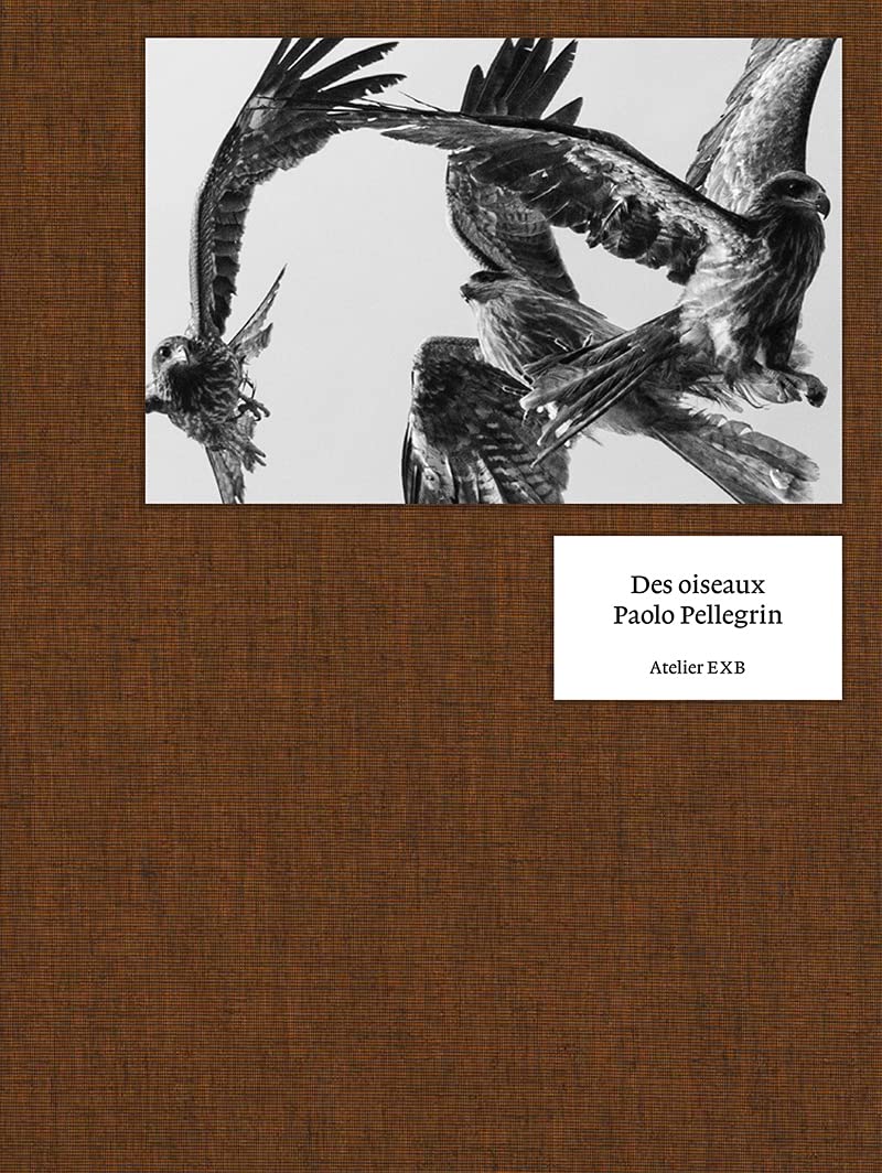 Des oiseaux - Paolo Pellegrin (Hardcover)