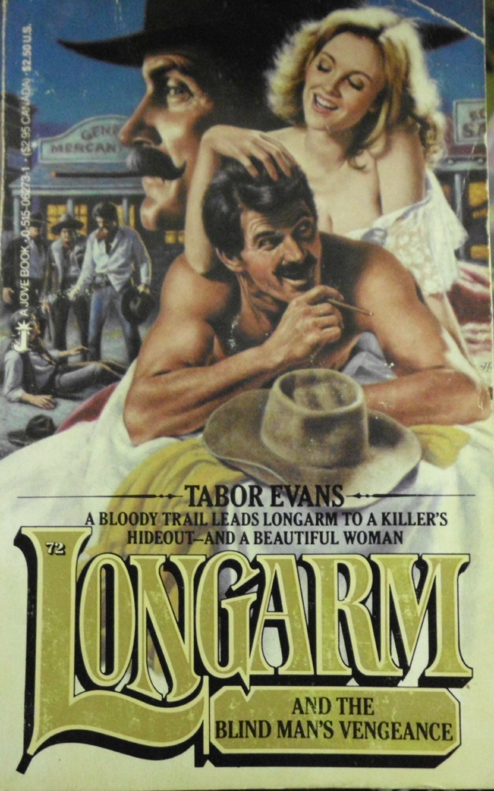 Longarm and the Blind Man's Vengeance (Longarm, #72)