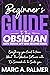 Beginner's Guide to the Obs...