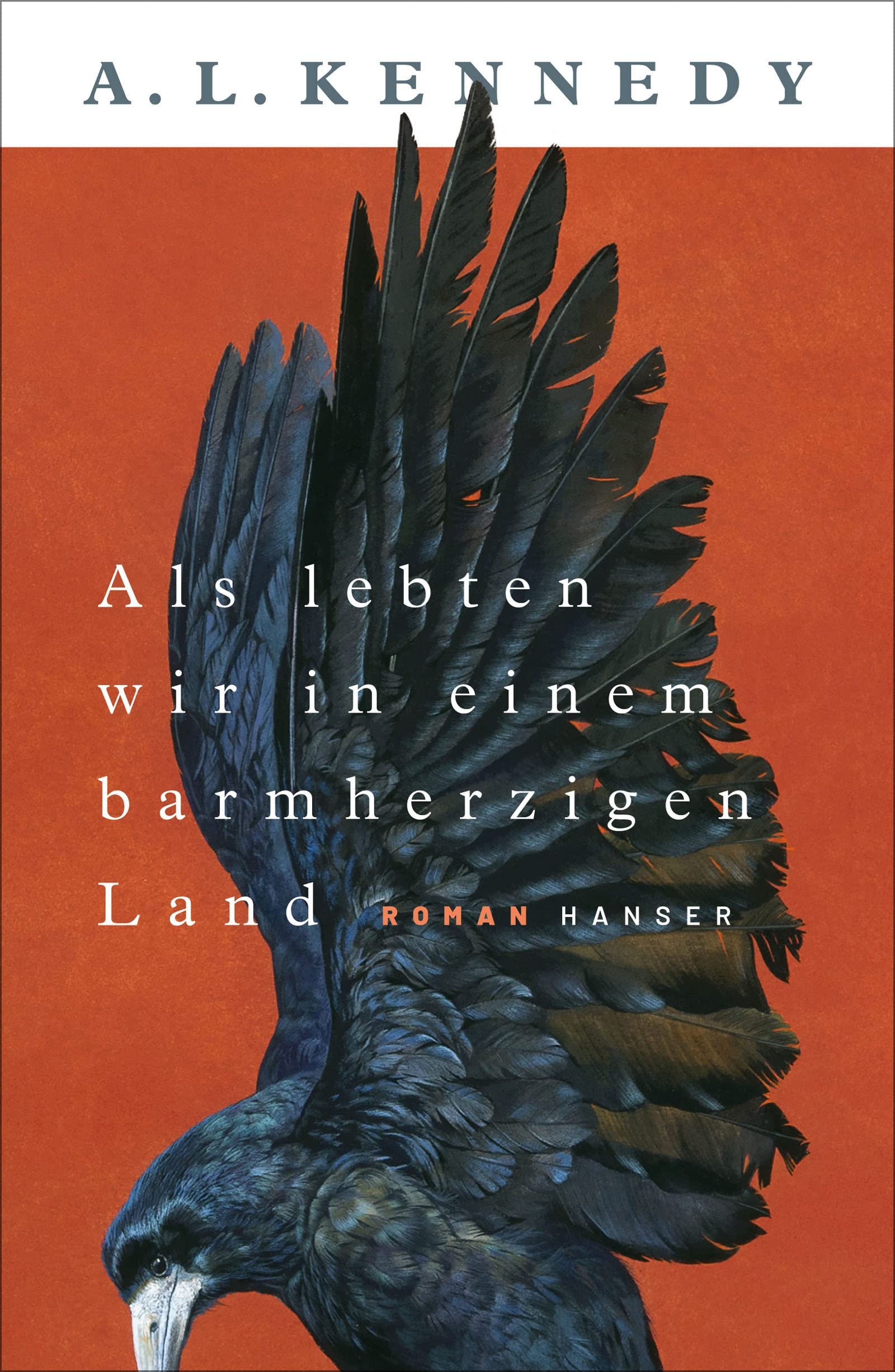 Als lebten wir in einem barmherzigen Land (Kindle Edition)