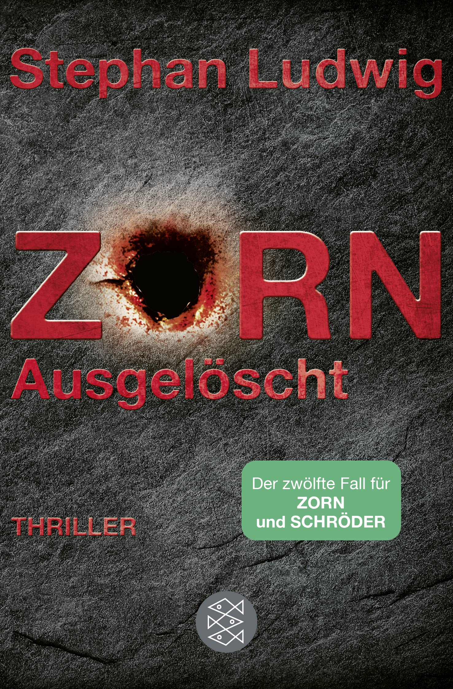 Ausgelöscht (Zorn, #12)