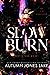 Slow Burn (Lost Kings MC #1)