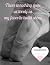 My Favorite Ballet Shoes Co...