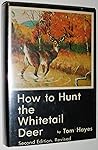 How to hunt the whitetail deer