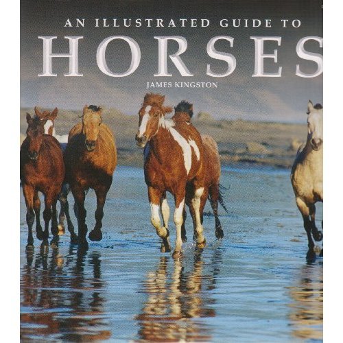 Illustrated Guide to Horses (Hardcover)
