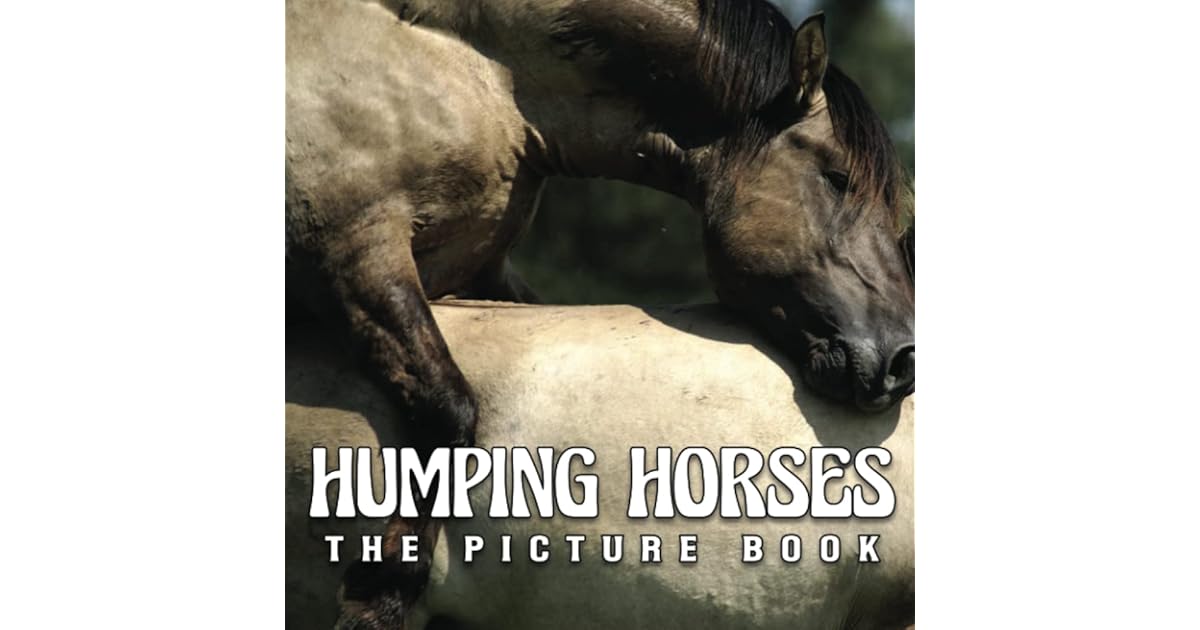 A Photo Book Of Humping Horses A Great Gift With Compelling And