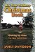 Not Your Ordinary Christmas Book by Janet Davidson