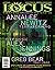 Locus Magazine, Issue #744, January 2023