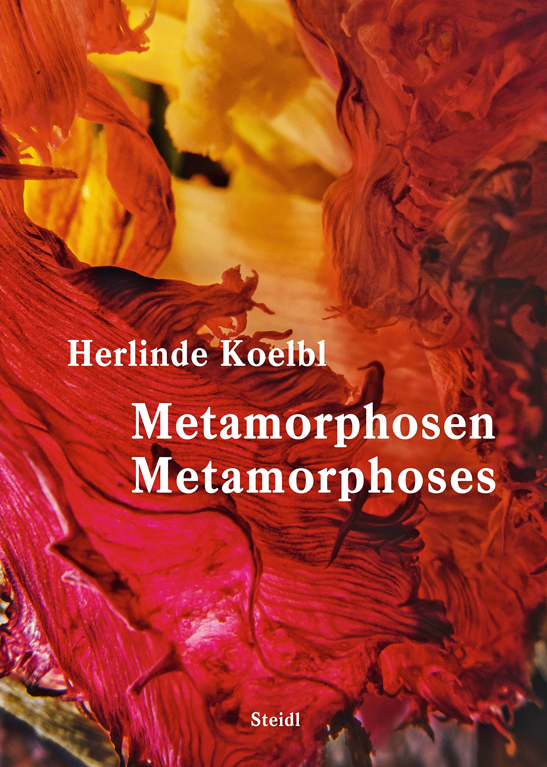 Herlinde Koelbl: Metamorphoses (Hardcover)