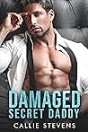 Damaged Secret Daddy (Alpha Billionaire Daddies, #1)
