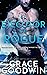 El ejecutor de Rogue (Spanish Edition)