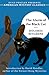 The Alarm of the Black Cat (An American Mystery Classic)