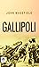 Gallipoli: John Masefield's Reflections on War and Sacrifice by John Masefield