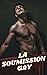 LA SOUMISSION GAY: GAY