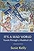It's A Mad World: Travels T...