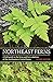 Northeast Ferns: A Field Gu...