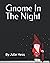 Gnome In The Night