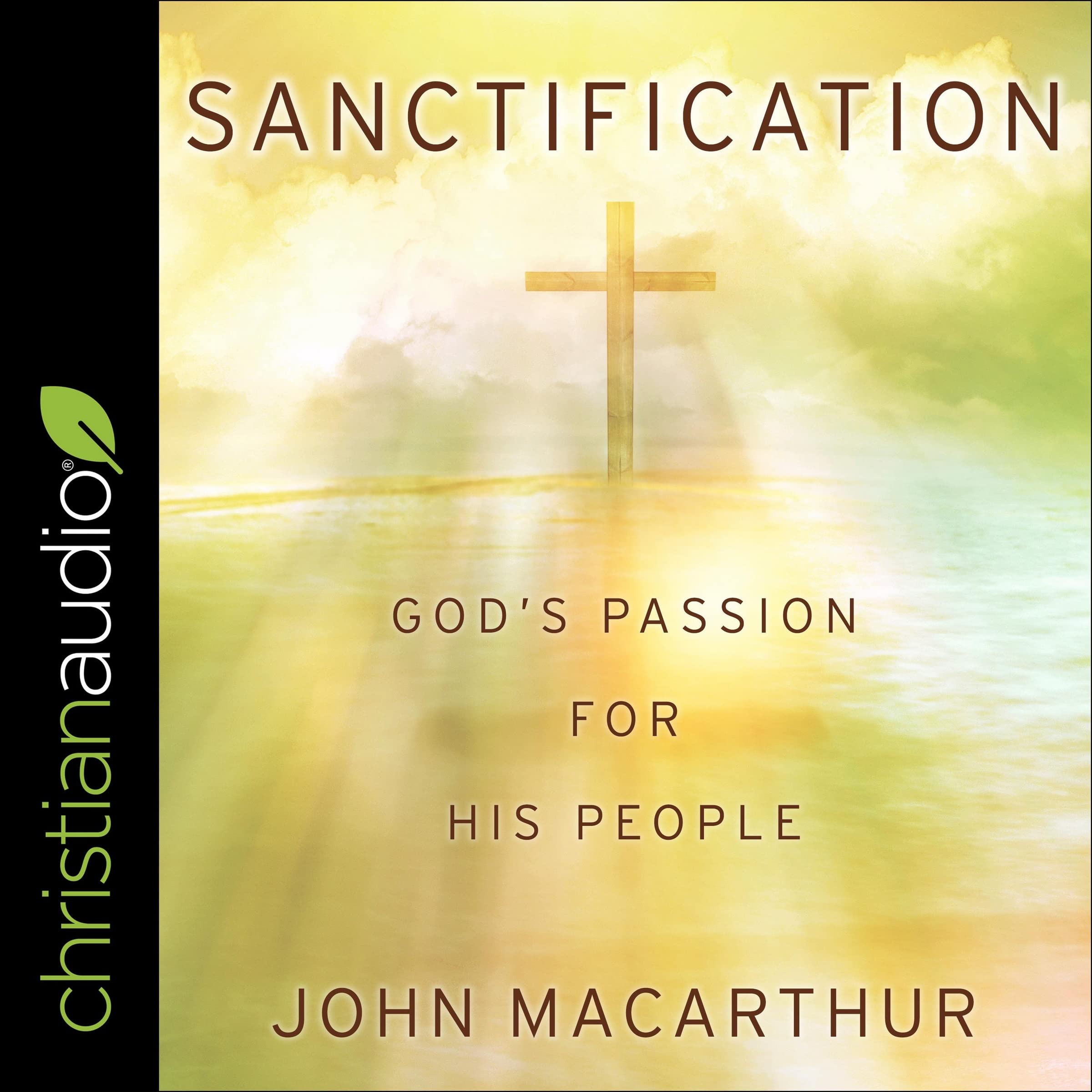 Sanctification: Gods Passion For His People (Audio CD)