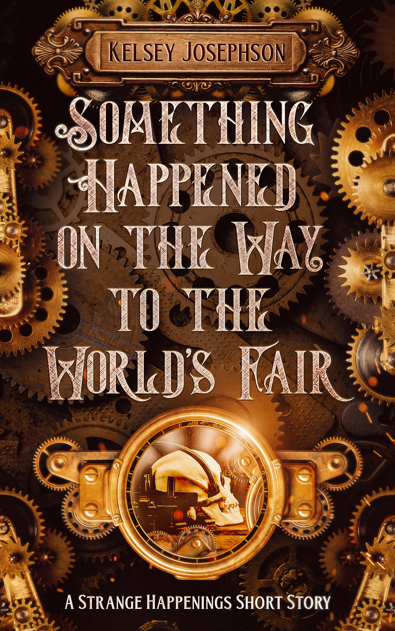Something Happened on the Way to the World's Fair (Strange Happenings, #1)