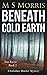 Beneath Cold Earth (DCI Tom Raven #2)