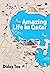 Amazing Life in Qatar