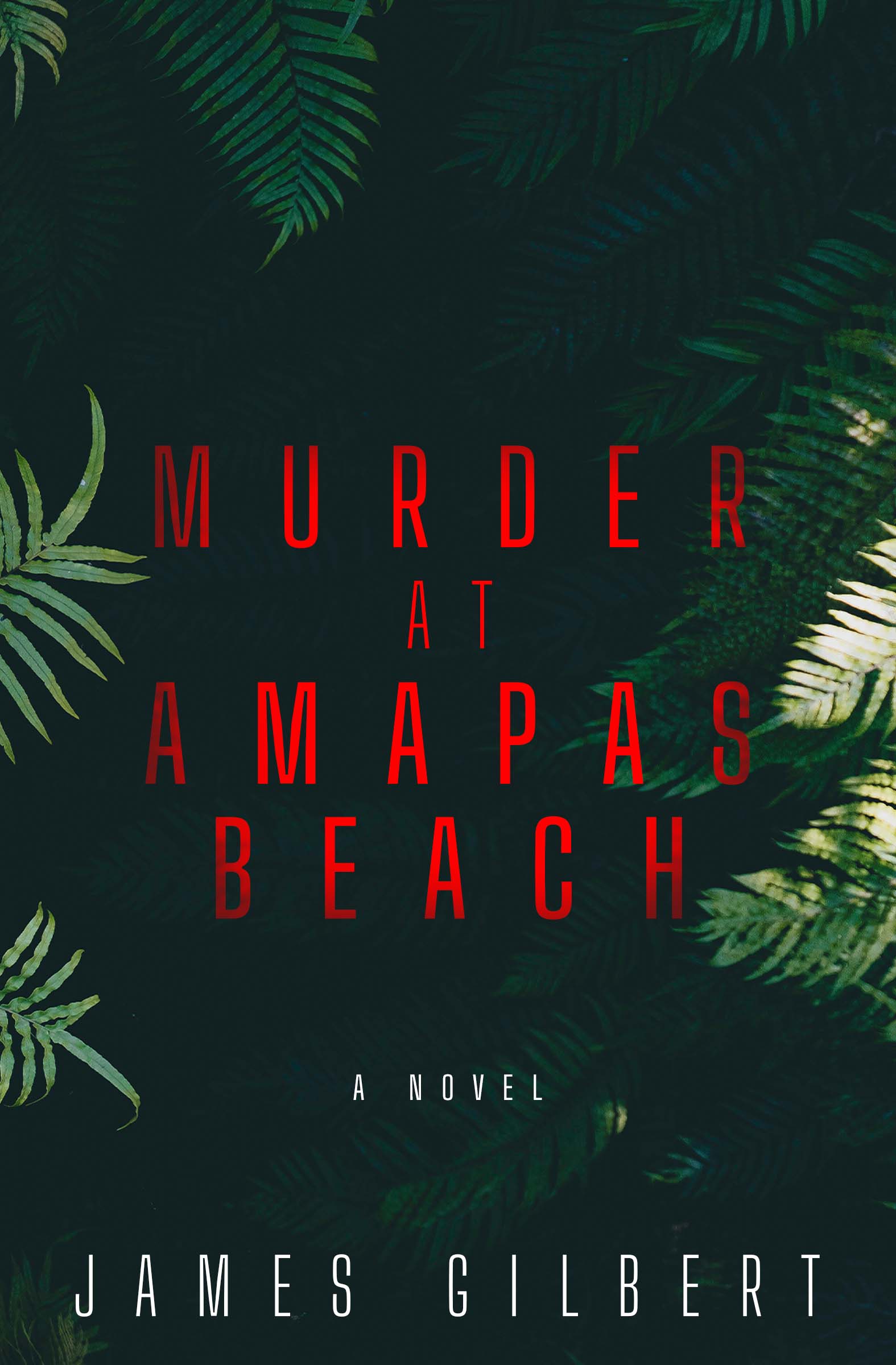 Murder at Amapas Beach (An Amanda Pennyworth Mystery, #3)