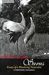 The Dance of the Sarus: Essays of a Wandering Naturalist