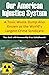 Our American Injustice System by Tom Scott