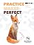 Practice Makes Perfect Level 4 by Angela O'Dell Practice Makes Perfect Level 4 by Angela O'Dell