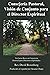 Consejería Pastoral, Una Visión de Conjunto para el Director ... by David Rosenberg