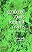Gendered Voices, Feminist Visions by Susan M. Shaw