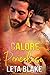 Calore pericoloso (Heat of Love, #2.5)