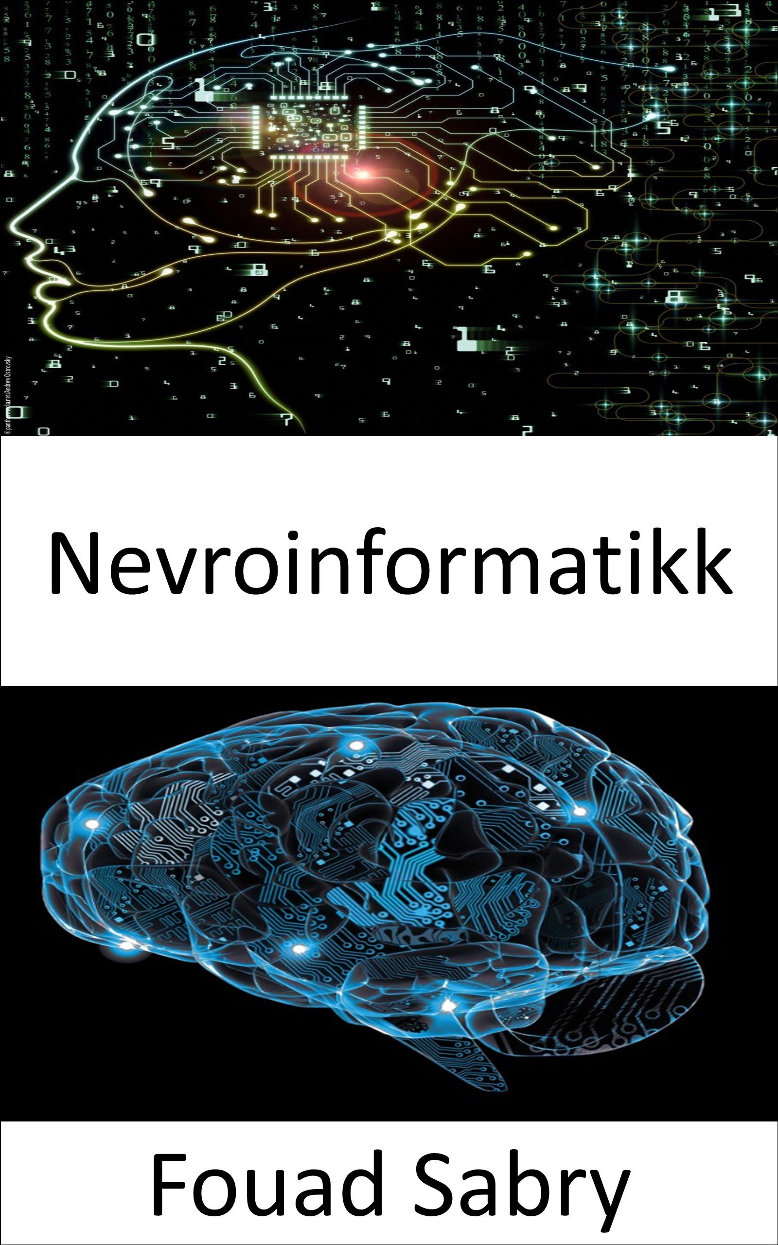 Nevroinformatikk: Kombinere nevrovitenskapelige data og informasjonsbehandling av kunstige nevrale nettverk (Nye Teknologier Innen Nevrovitenskap [Norwegian], #3)