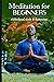 Meditation for Beginners, A Blackman's Guide to Restoration by Demetrius Irick