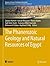 The Phanerozoic Geology and Natural Resources of Egypt by Zakaria Hamimi