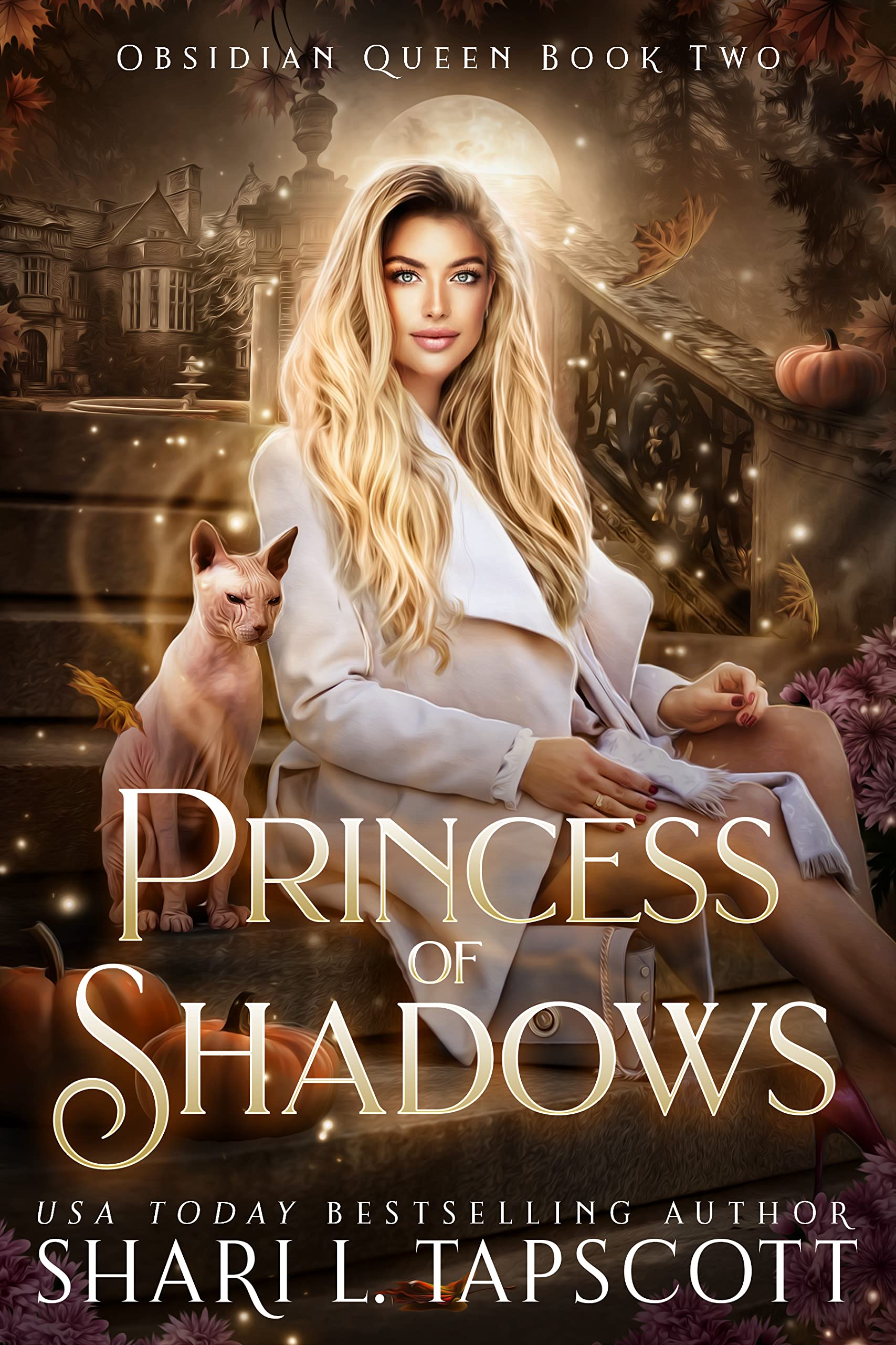 Princess of Shadows (Obsidian Queen, #2)