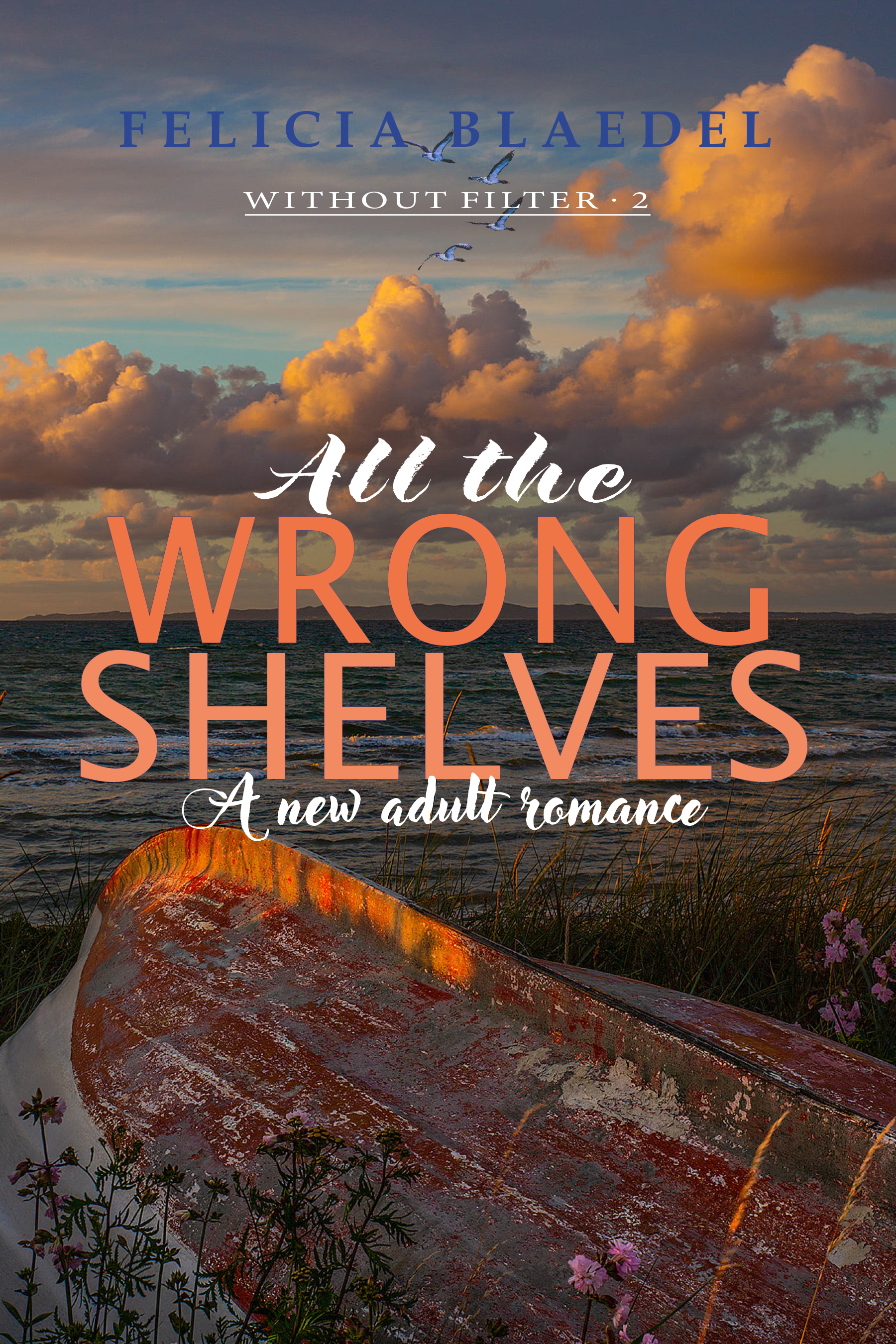 All The Wrong Shelves (Without Filter, #2)