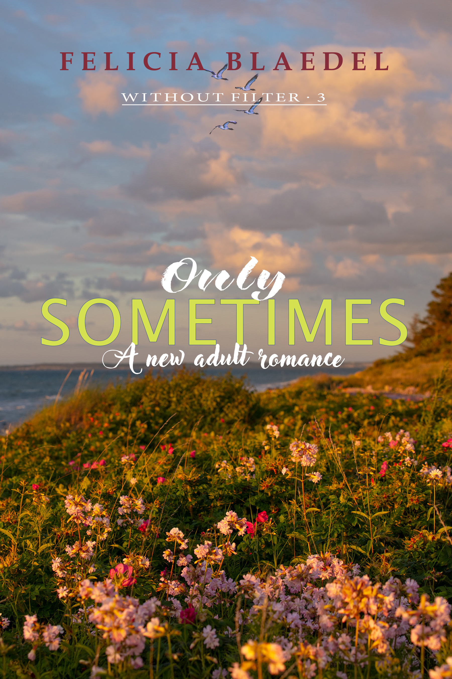 Only Sometimes (Without Filter, #3)